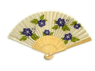mini SENSU morning glory