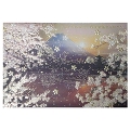 Greeting card, Mt. Fuji and sakura
